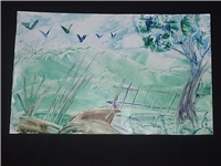 4c604ab1-Picture 011.jpg